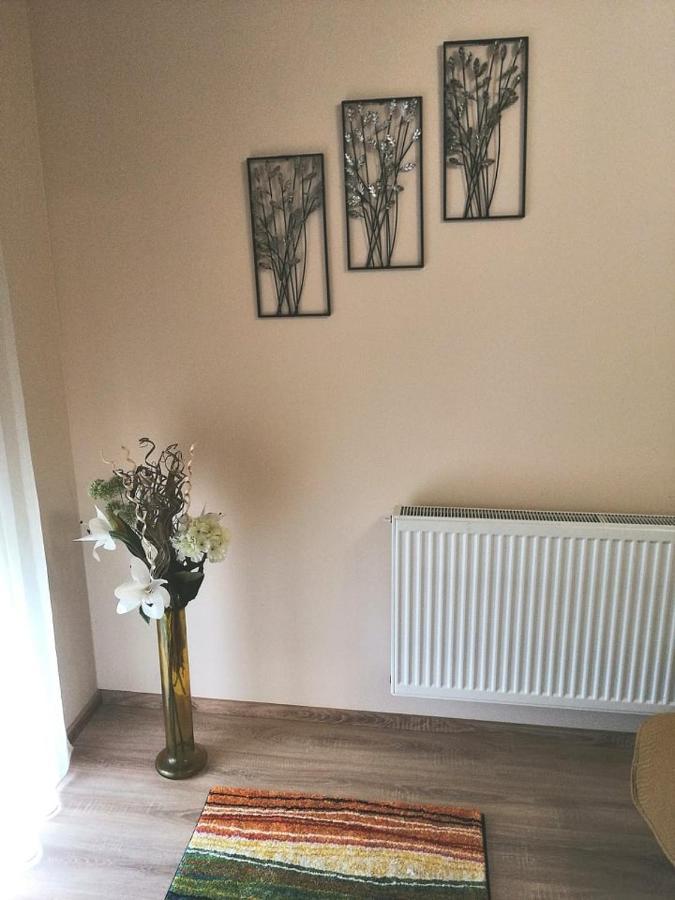 Boglarka Apartman Seghedin Exterior foto